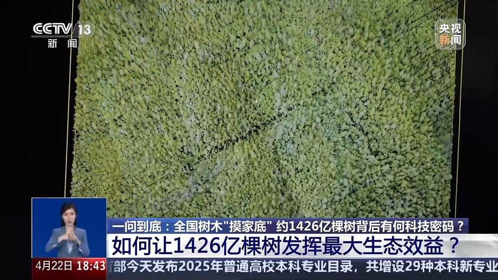 全国树木“摸家底” 约1426亿棵树背后有何科技密码？(图9)
