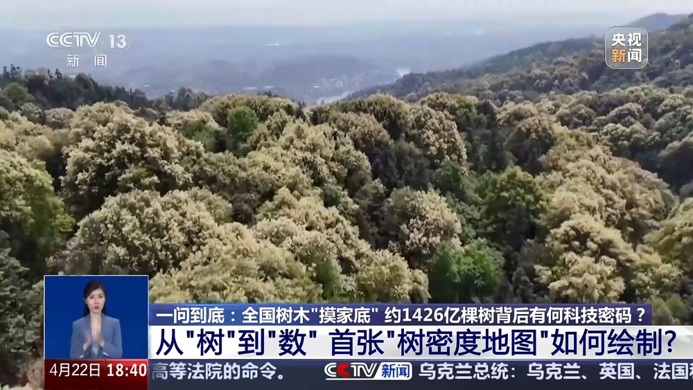 全国树木“摸家底” 约1426亿棵树背后有何科技密码？(图6)