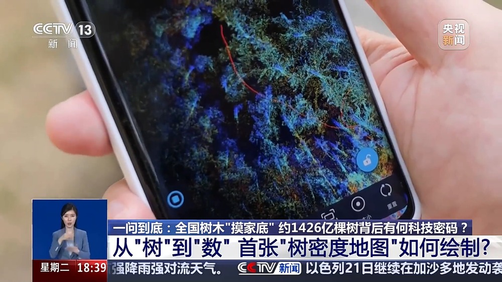 全国树木“摸家底” 约1426亿棵树背后有何科技密码？(图5)