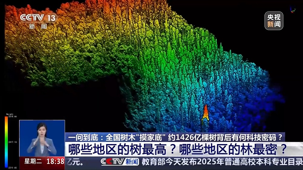 全国树木“摸家底” 约1426亿棵树背后有何科技密码？(图2)