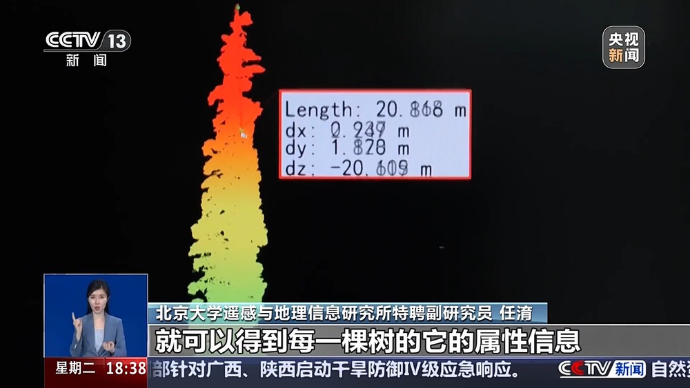 全国树木“摸家底” 约1426亿棵树背后有何科技密码？(图3)